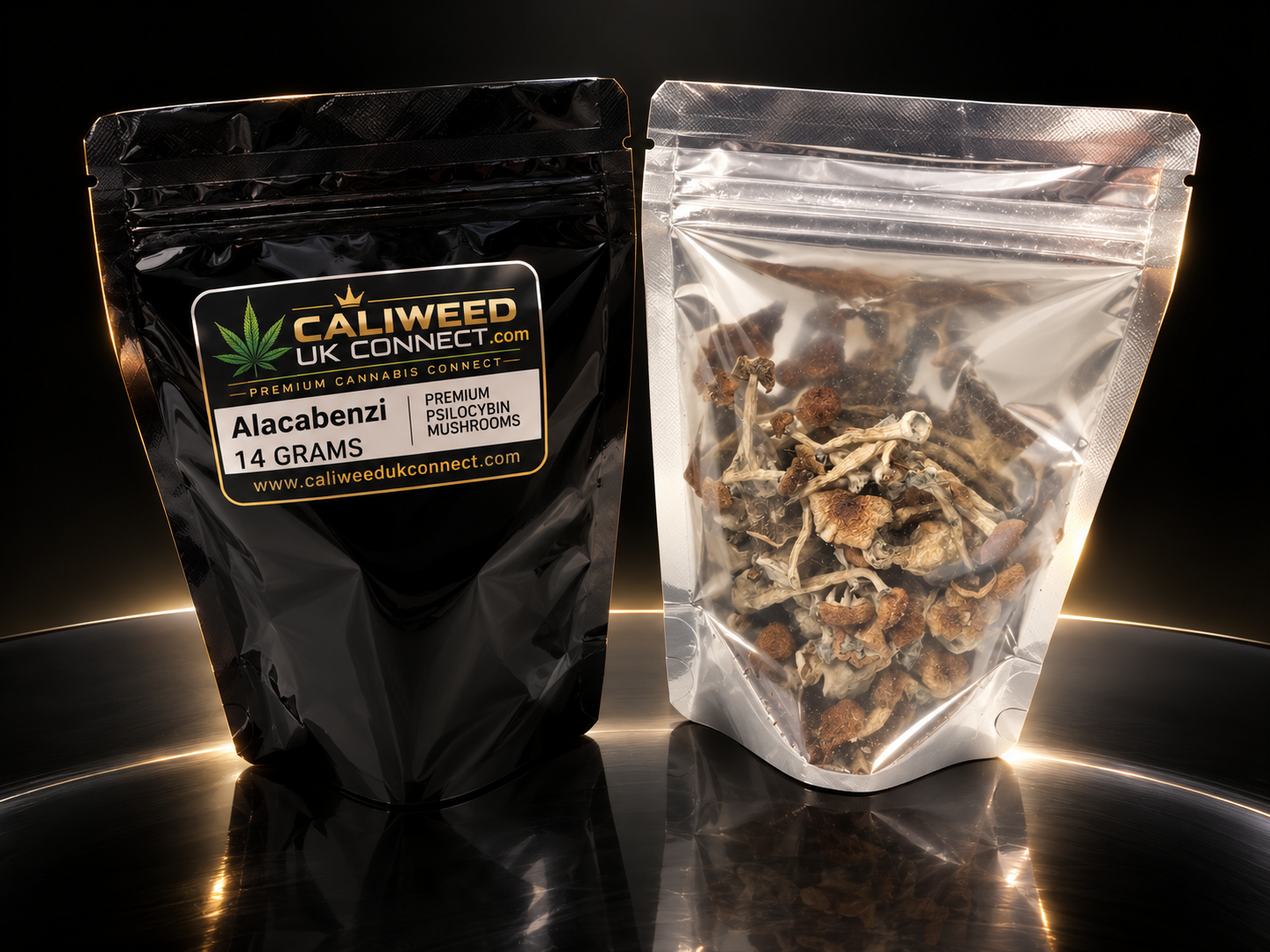 ALACABENZI MAGIC MUSHROOM