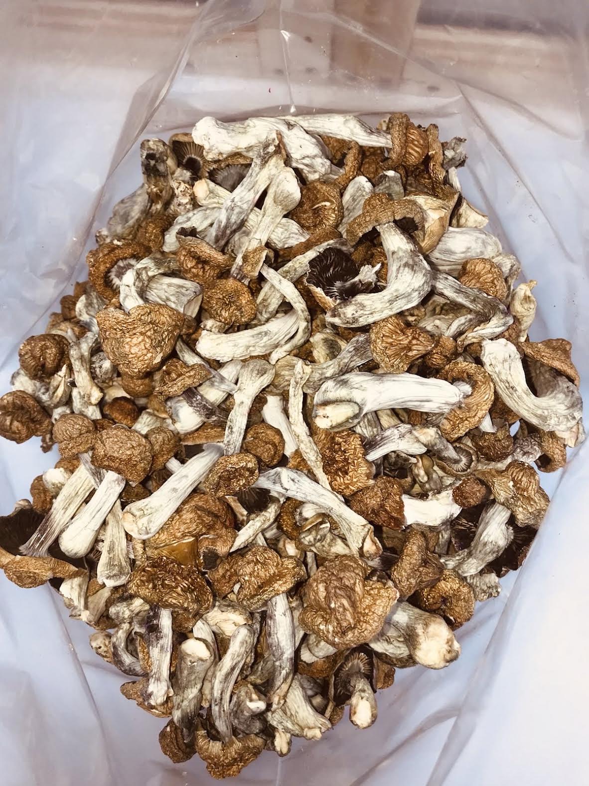 Trinity Magic Mushrooms Strains