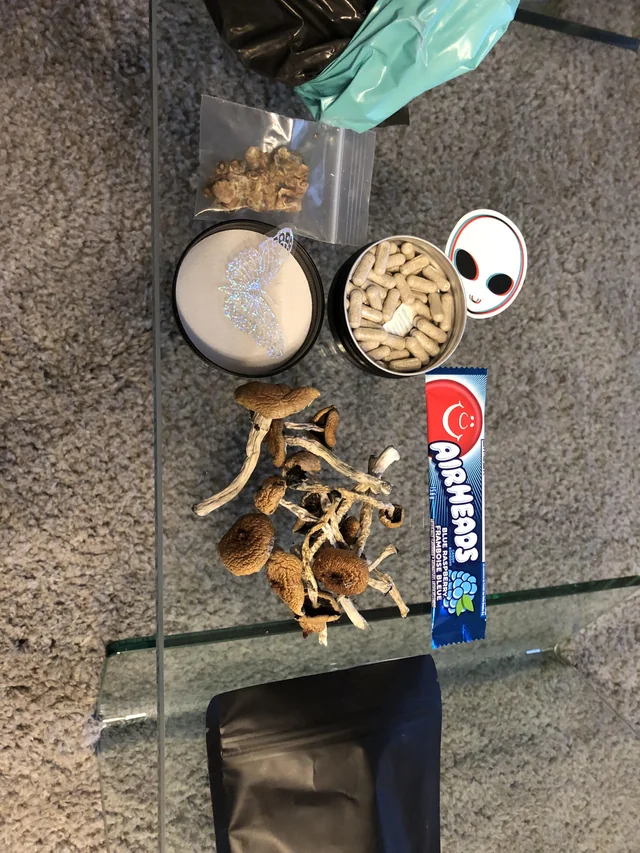 Brazilian Magic Mushrooms