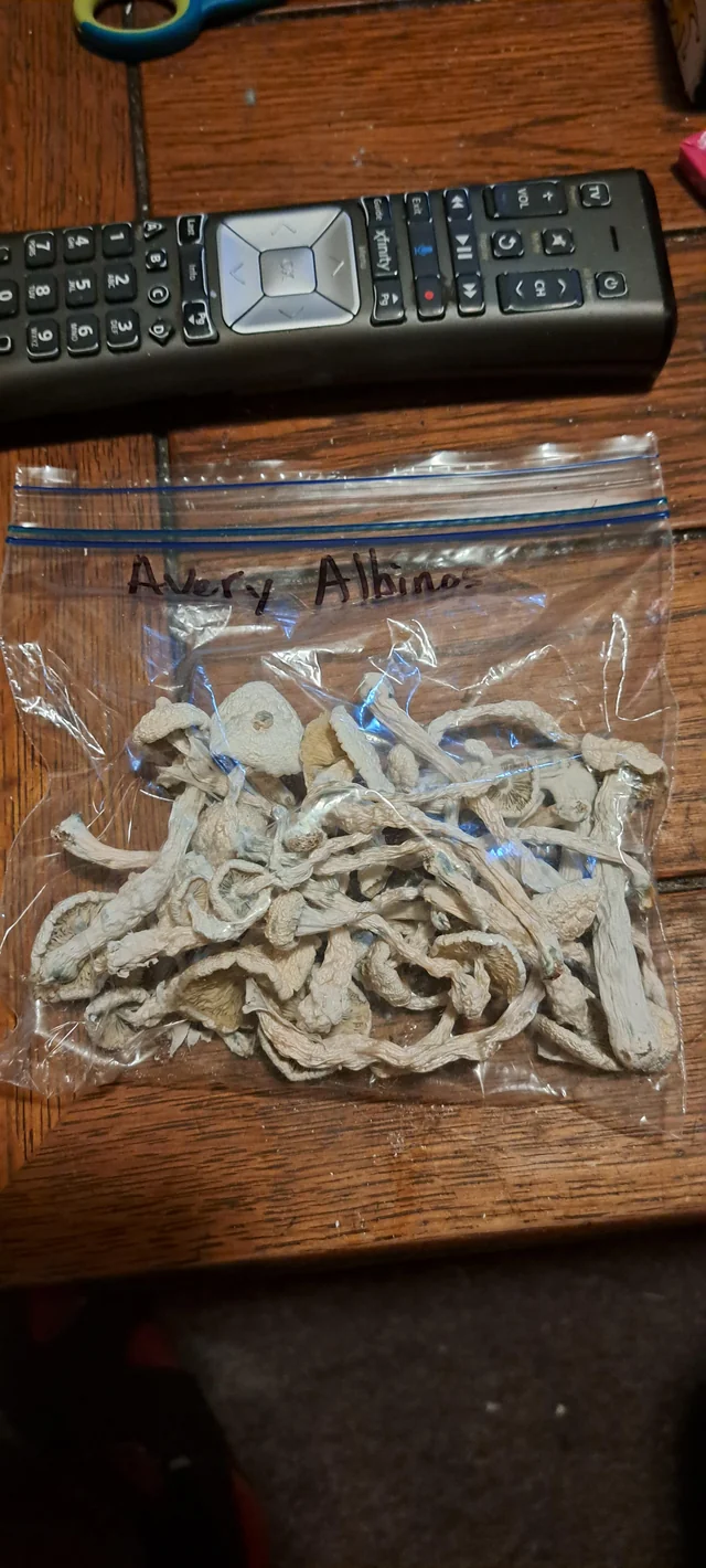 Avery’s Albino Magic mushroom